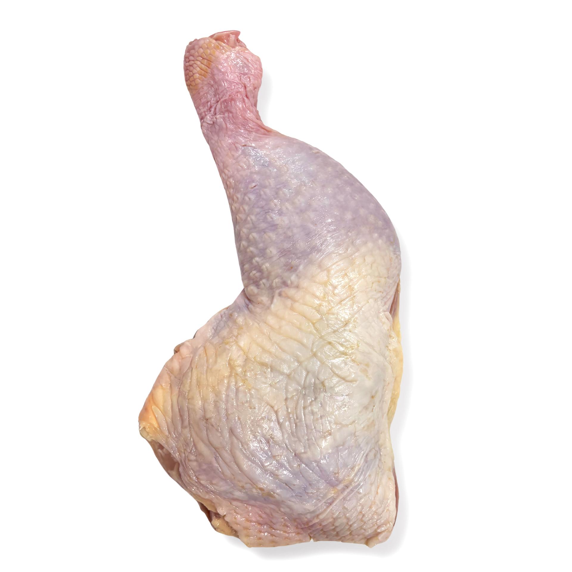 Leg Q - Henwill