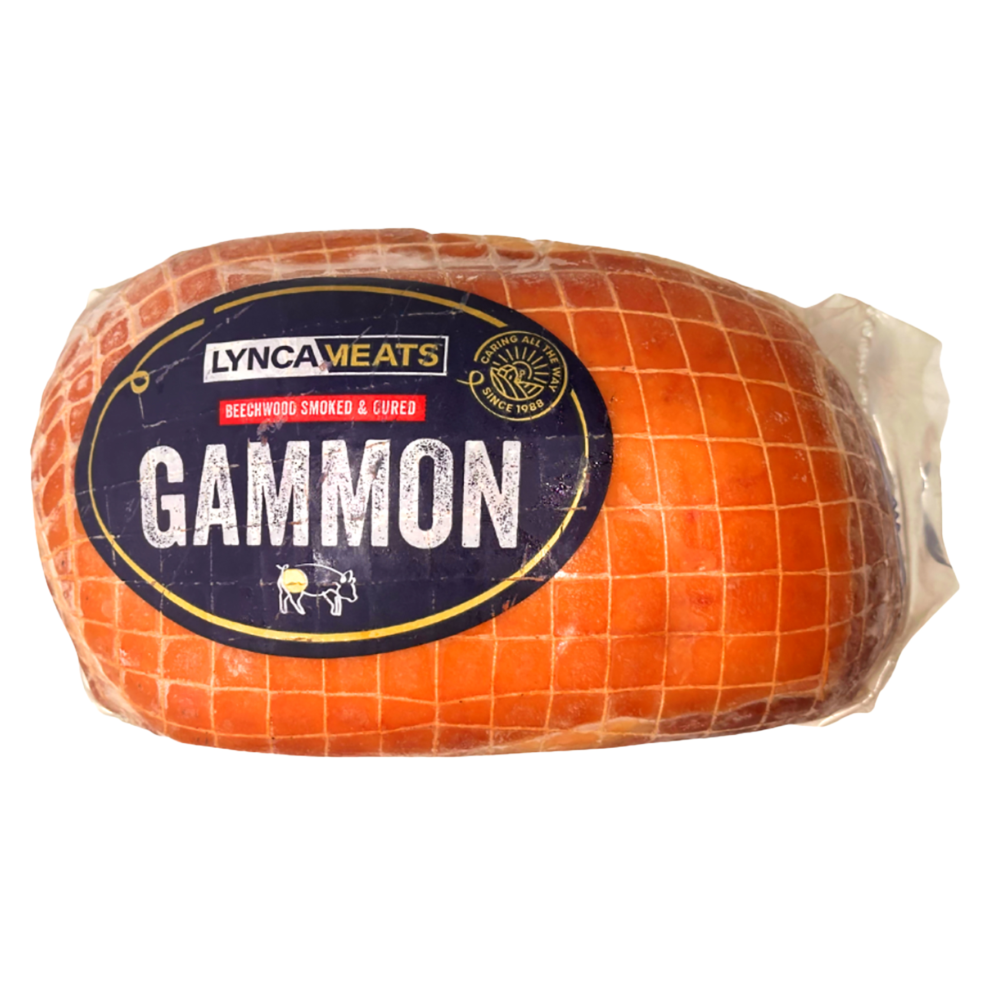 Gammon