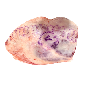 Leg Bone In