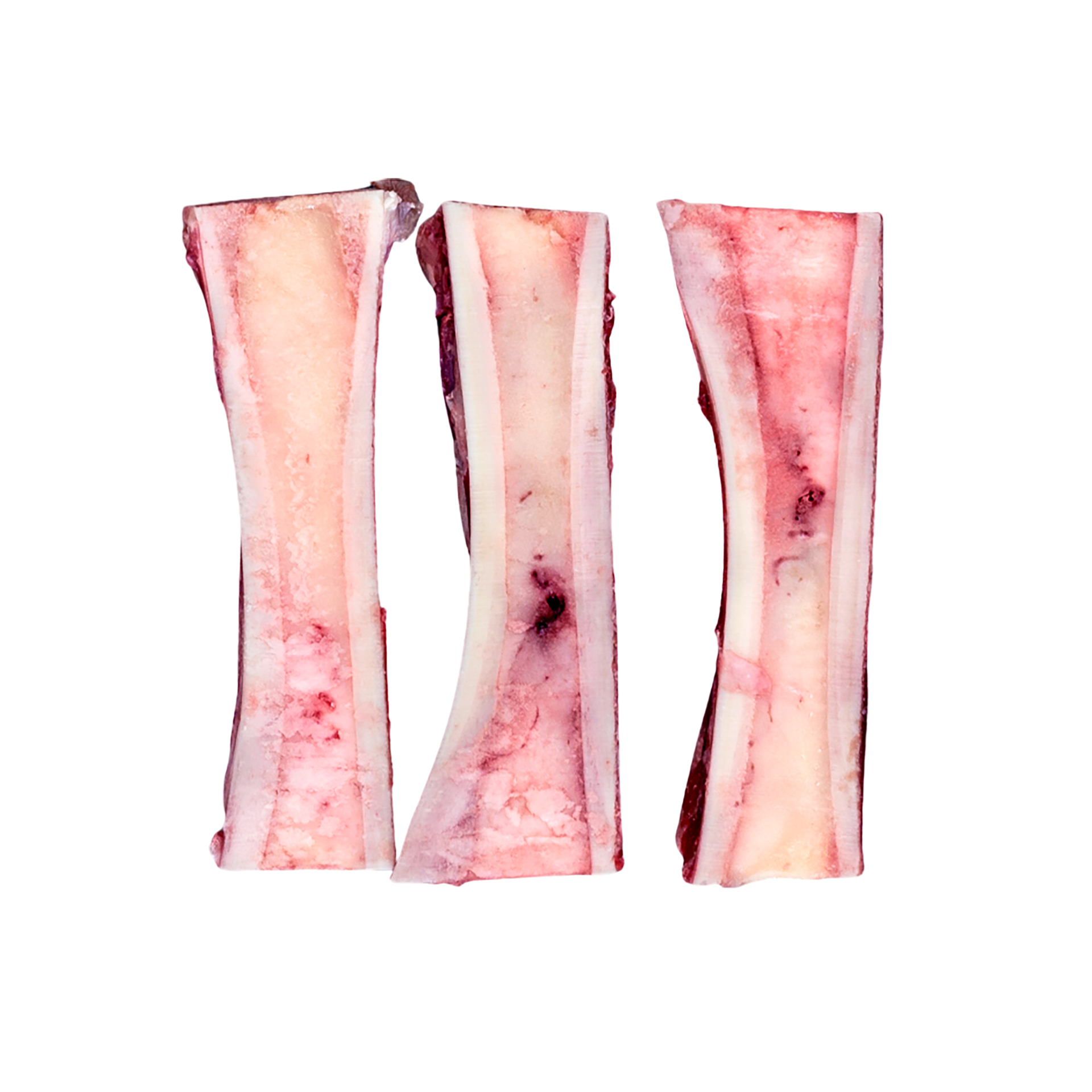 Marrow Bones Canoo