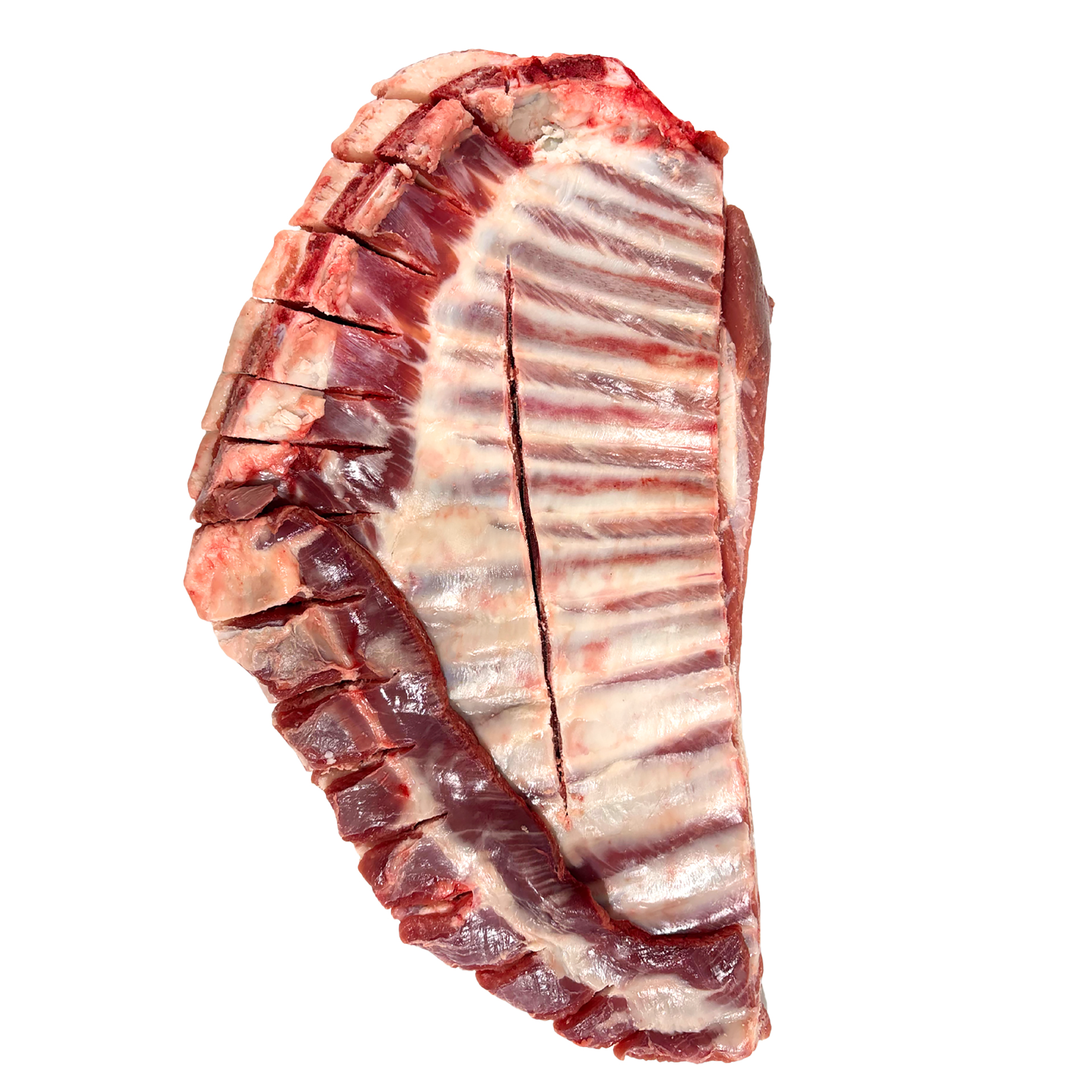 Rib Half Moon (FQ)